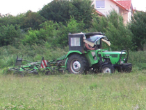 Kreiseln